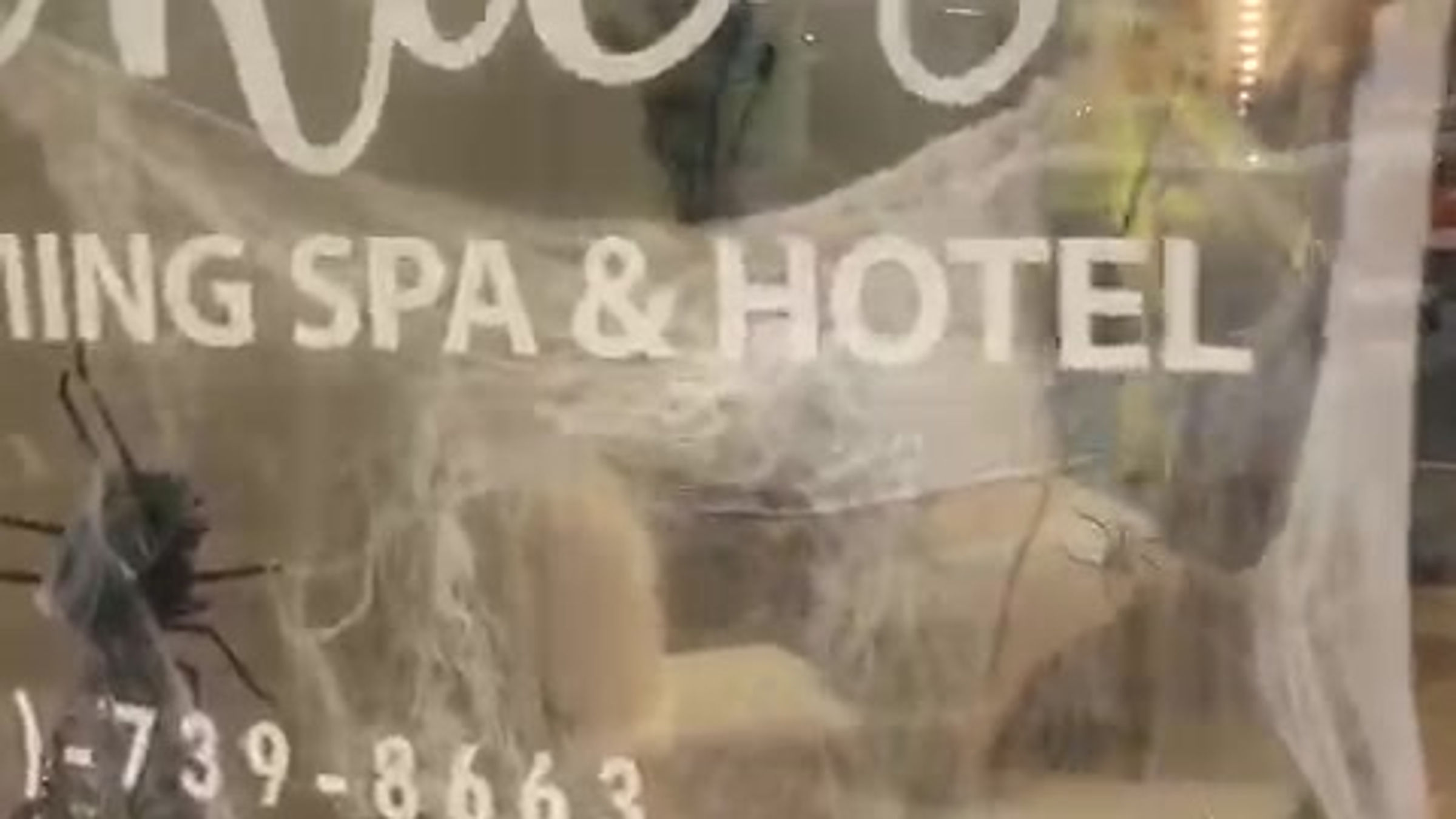 JACKIE'S GROOMING SPA & HOTEL